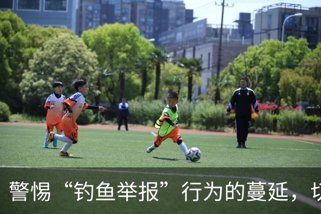 警惕“钓鱼举报”行为的蔓延，切勿让热线成为恶意工具